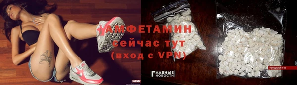 мет Алексин