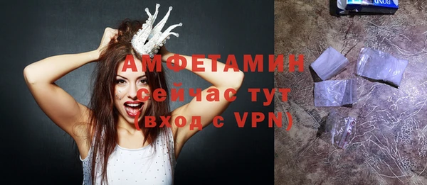 мет Алексин